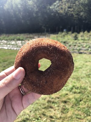 Carver Hill Orchard by null