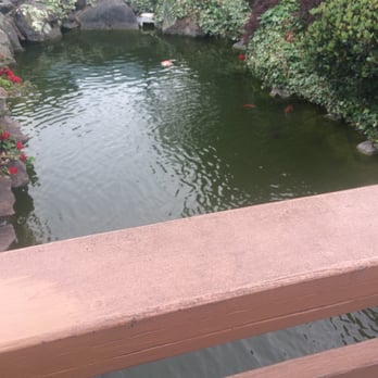 Sevys Bar and Kitchen - Serene. - Bars Near Me - Aptos, California