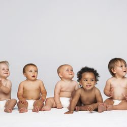 The New York Fertility Center