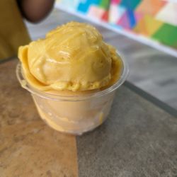Carey's Frozen Delights