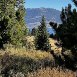 Hebgen Lake - Lake view