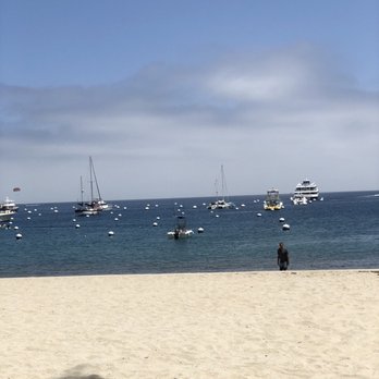 Maggie's Blue Rose - It's a little further back but that's the view you'll get if you sit out front. - Mexican Near Me - Avalon, California