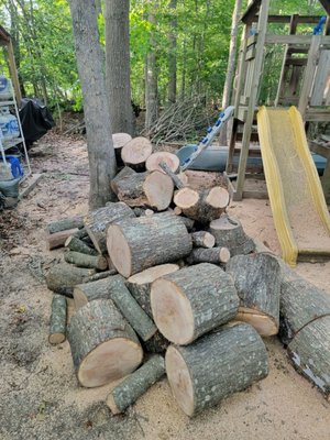 Rangel’s Tree And Landscaping Service