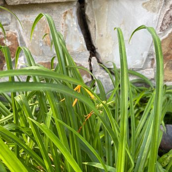Blaney Stonework & Landscape - Cracks due to not having drain holes in this size wall. - Landscaping Near Me - Richardson, Texas