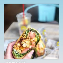 Coyote Coffee Cafe - Buffalo Chicken Wrap