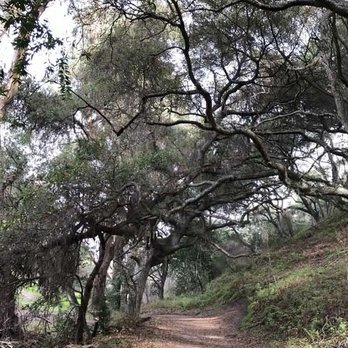 Fremont Older Open Space Preserve - Parks Near Me - Saratoga, California Fremont Older Open Space Preserve - Parks Near Me - Saratoga, California