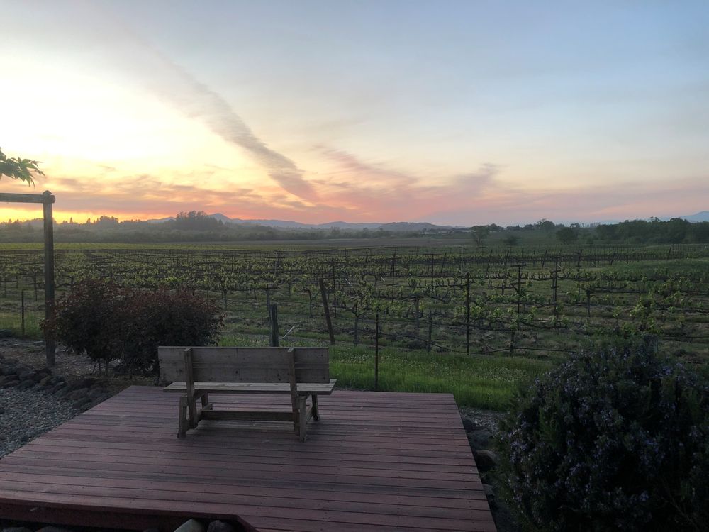 To The Point Polygraph - social services organization in Santa Rosa, CA