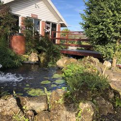 Staggs Nursery & Tree Service