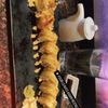 Four Leaves Asian Restaurant gift card