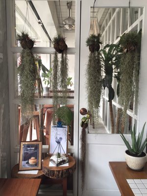 The Replacement - Lodge & Kitchen by null