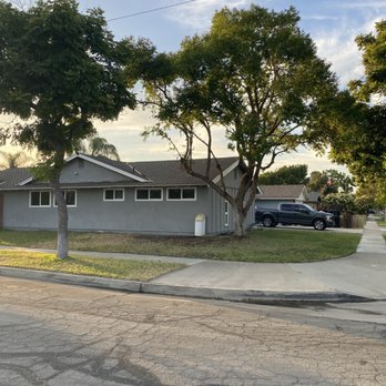 California Tree Design - AFTER - Tree Services Near Me California Tree Design - AFTER - Tree Services Near Me
