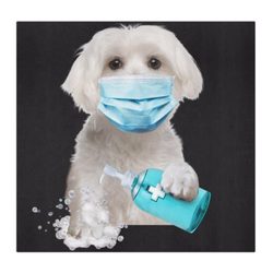 Horizon Animal Hospital