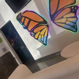 Butterfly Butterfly