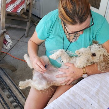 Animalgenic - Pet Training Near Me Animalgenic - Pet Training Near Me