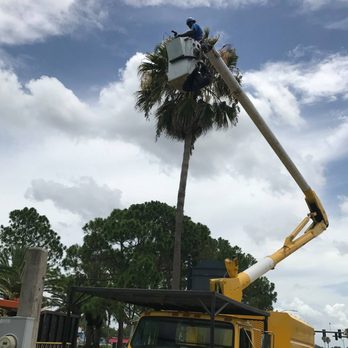 Tucker Enterprise Services - a man in a bucket truck working on a palm tree - Tree Services Near Me - Oldsmar, Florida Tucker Enterprise Services - a man in a bucket truck working on a palm tree - Tree Services Near Me - Oldsmar, Florida