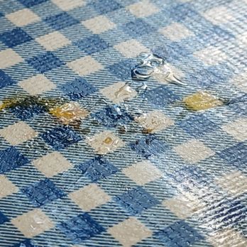 Moose Cafe - I seated at a table with a food on the table, had to wait 15 minutes to get this cleaned up. - Southern Near Me - Colfax, North Carolina Moose Cafe - I seated at a table with a food on the table, had to wait 15 minutes to get this cleaned up. - Southern Near Me - Colfax, North Carolina