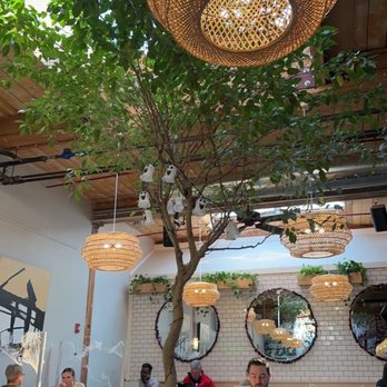 NU Kitchen - Juice Bars & Smoothies Near Me - Worcester, Massachusetts