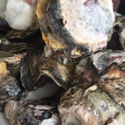 Sababi Exotic Foods - Steamed Oyster