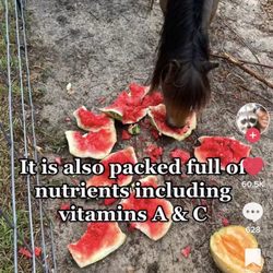 Yak's Produce