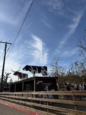 River Street Marketplace by null