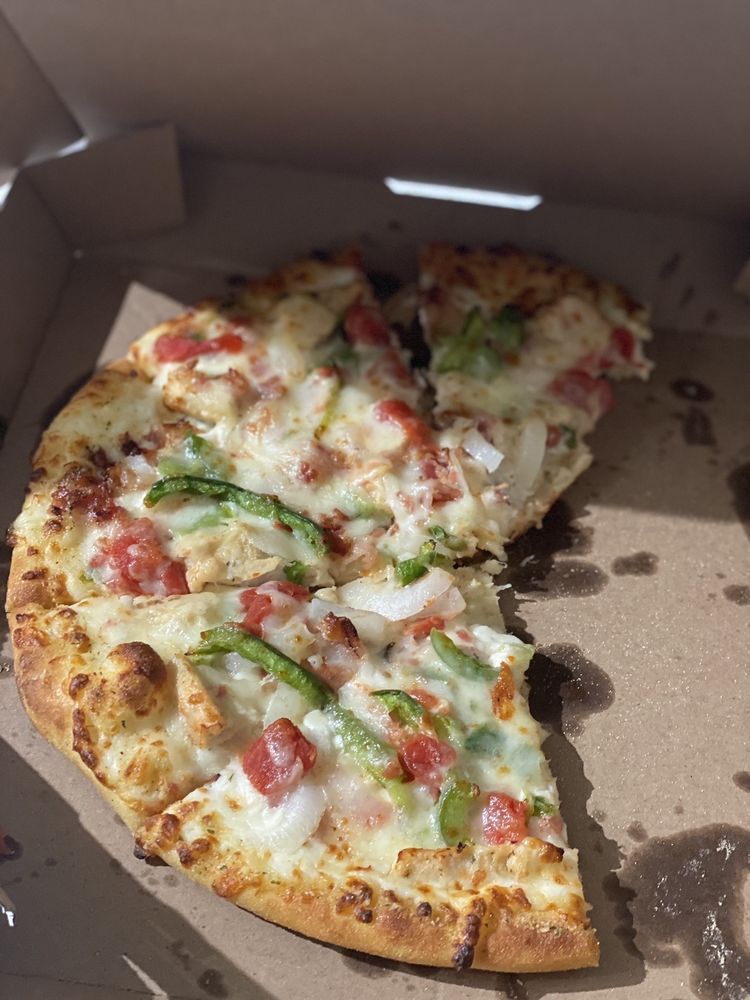 Domino's Pizza Logo