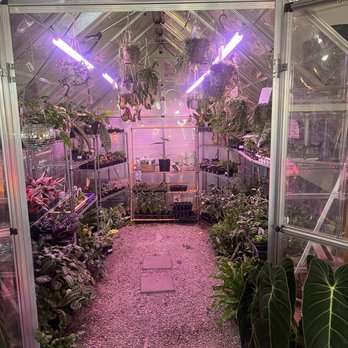 Stem Rochester - Nurseries & Gardening Near Me - Rochester, New York