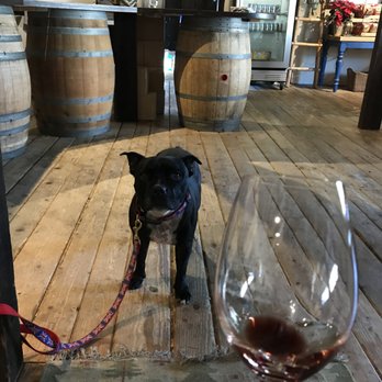 Blue Door Winery - Wineries Near Me - Julian, California Blue Door Winery - Wineries Near Me - Julian, California