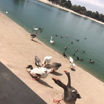 Apollo Community Regional Park - Parks Near Me - Lancaster, California Apollo Community Regional Park - Parks Near Me - Lancaster, California