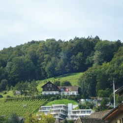 Restaurant Winzerhaus - Das Restaurant Winzerhaus inmitten von Reben (oben Mitte)