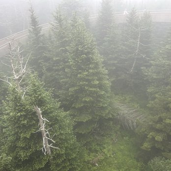 Kuwohi - Above the treeline - Parks Near Me - Uninc Sevier, Tennessee