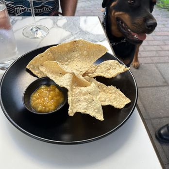Virtue + Vice - Pappadum, chutney, and our furry dining buddy.. - Cocktail Bars Near Me - Danville, California