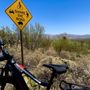 Photo of Fair Wheel Bikes
