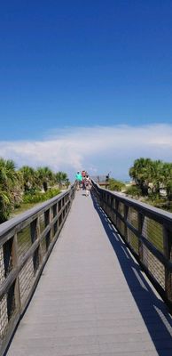 Caladesi Island State Park by null
