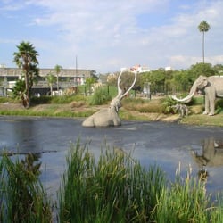 La Brea Tar Pits & Museum