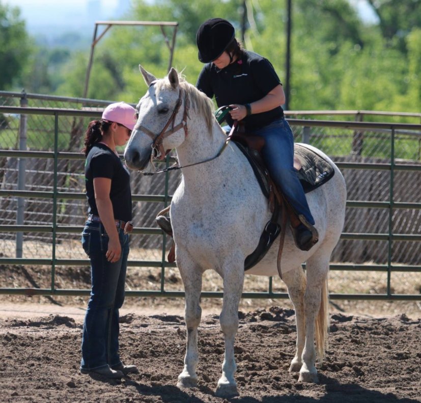 MNC Farm - equestrian in Arvada, CO
