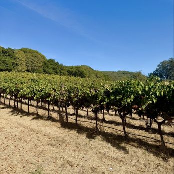 Gundlach Bundschu - Wineries Near Me - Sonoma, California