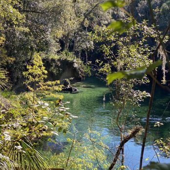 Blue Spring State Park - Springs - Parks Near Me - Orange City, Florida Blue Spring State Park - Springs - Parks Near Me - Orange City, Florida