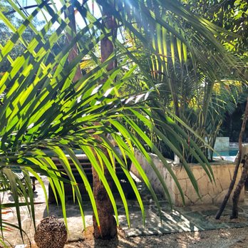 Una Vida - Hotels Near Me - Tulum, ROO Una Vida - Hotels Near Me - Tulum, ROO