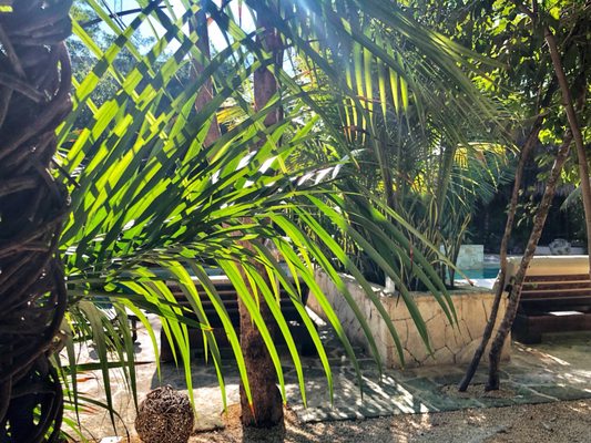 Una Vida, Tulum by null
