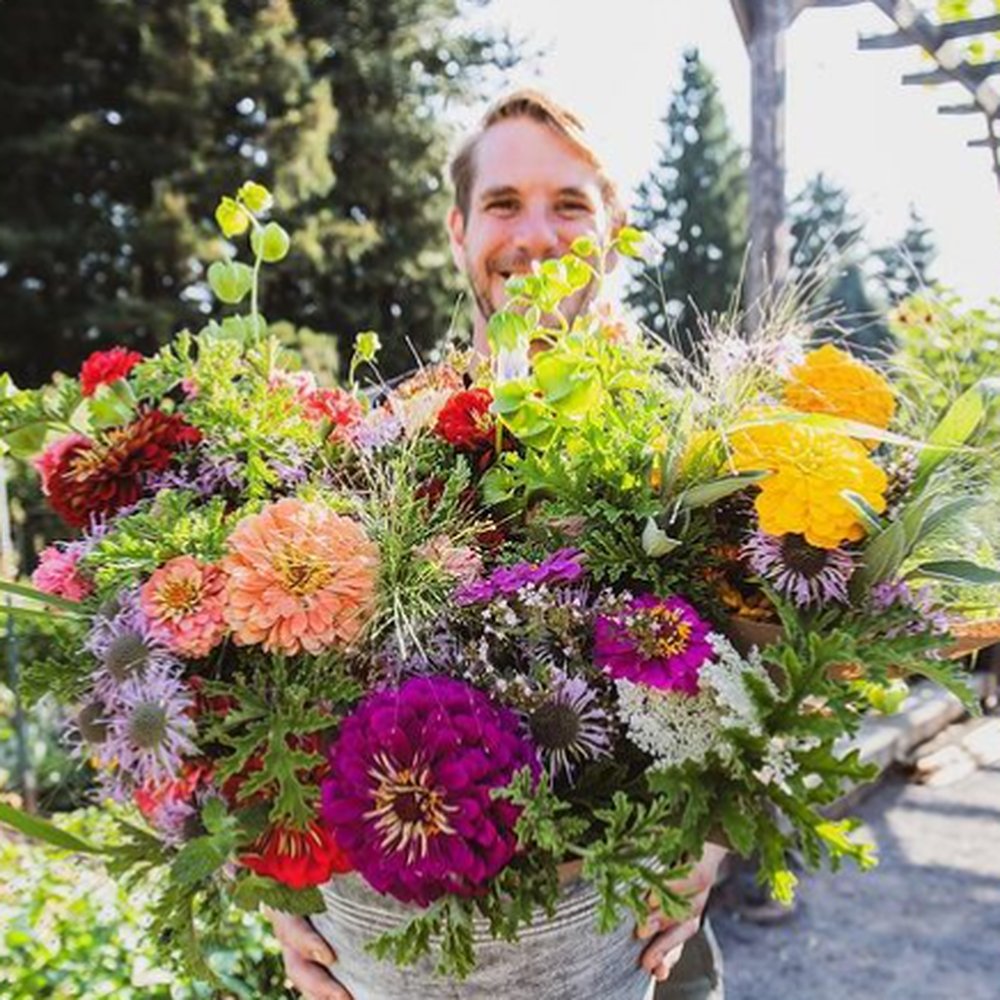 Flowers In Mcminnville Oregon Best Flower Site