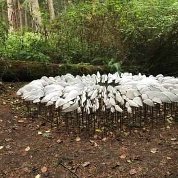 Price Sculpture Forest - Parks Near Me - Coupeville, Washington Price Sculpture Forest - Parks Near Me - Coupeville, Washington