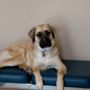 Photo of Hudson Pet Hospital