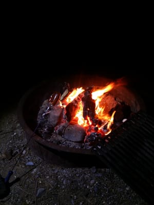 Texas Springs Campground by null