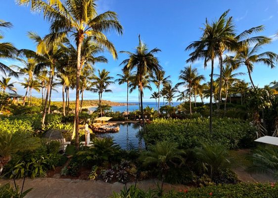 Osteria Mozza Lana'i by null