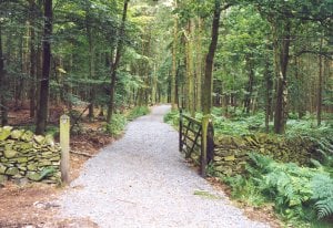 Beacon Hill Country Park