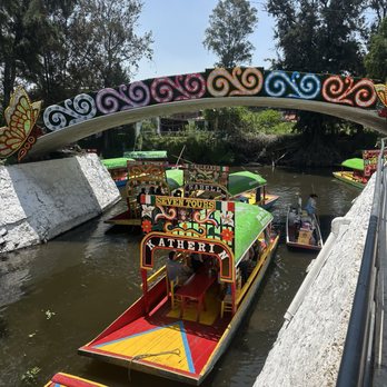 Amigo Tours - Tours Near Me - Ciudad de México, DIF Amigo Tours - Tours Near Me - Ciudad de México, DIF