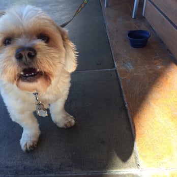 Habit Burger & Grill - Because they offer outside seating we can bring our pup! - Burgers Near Me - Pasadena, California Habit Burger & Grill - Because they offer outside seating we can bring our pup! - Burgers Near Me - Pasadena, California