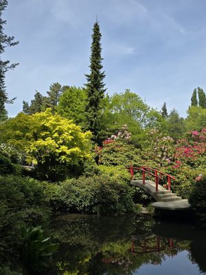 Kubota Garden by null