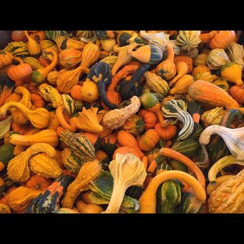 Blake's Orchard & Cider Mill - Fruits & Veggies Near Me - Armada, Michigan Blake's Orchard & Cider Mill - Fruits & Veggies Near Me - Armada, Michigan