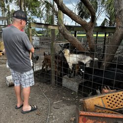 Gone Organic Dairy